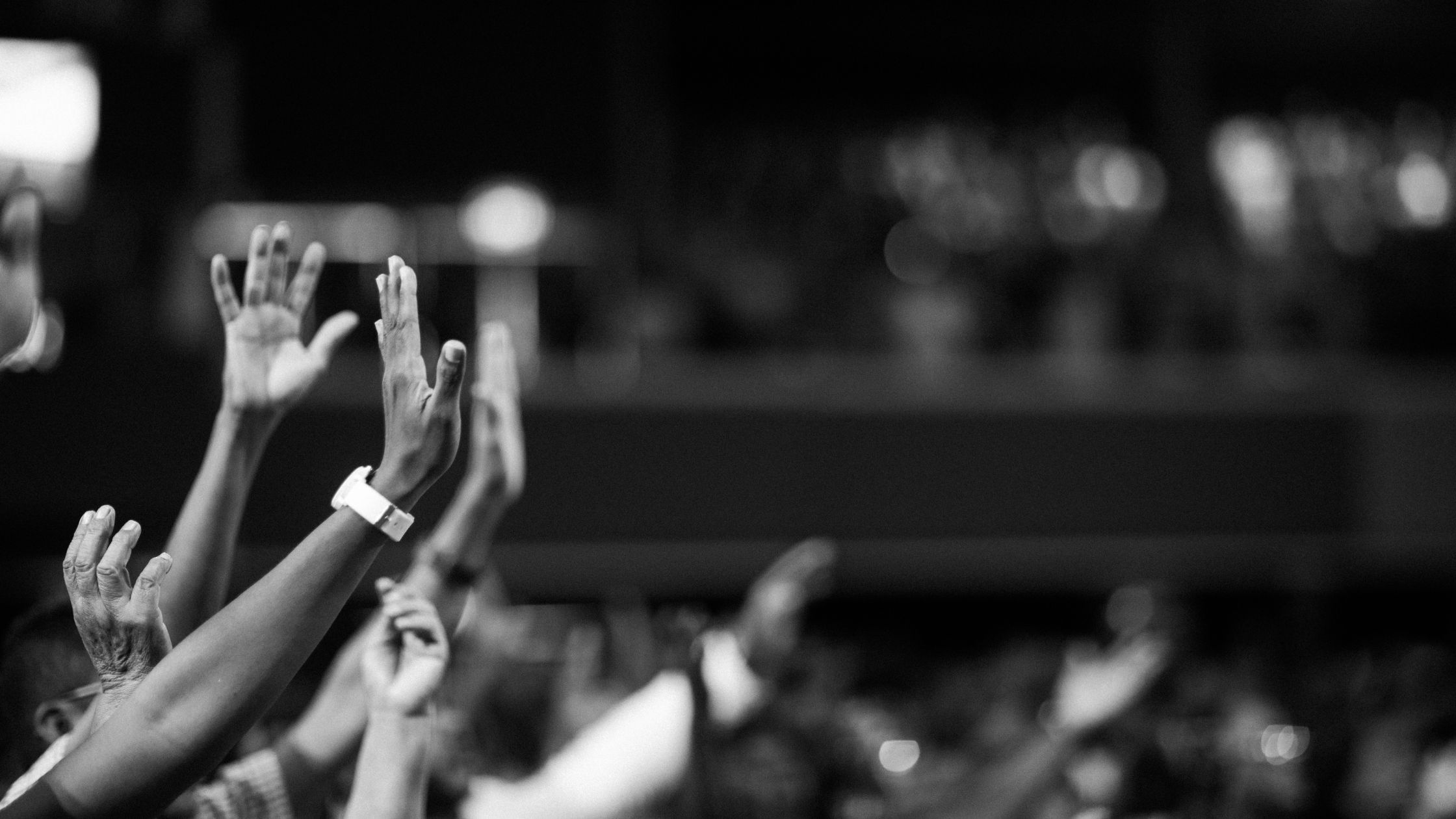 Audience in a Concert