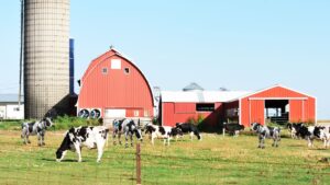A farm including real cows and robot cows... showing how bots are around us and being a pun to "bot farms"
